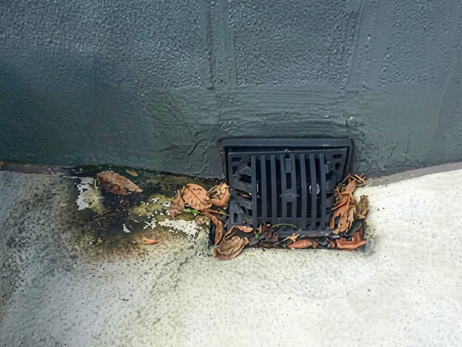 ベランダの排水口が詰まっている。